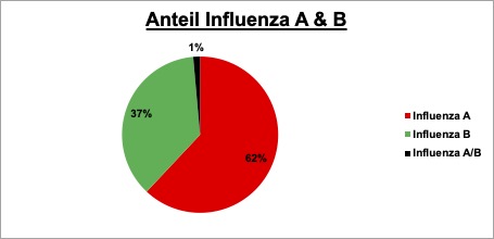 Anteil Influenza A+B-040225