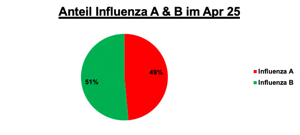 Anteil Influenza A & B im April 2025 Anteil Influenza A & B im April 2025
